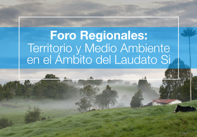 Foros Regionales 2016