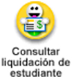 icono consulta liquidacion