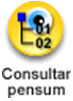 icono consultar pensum