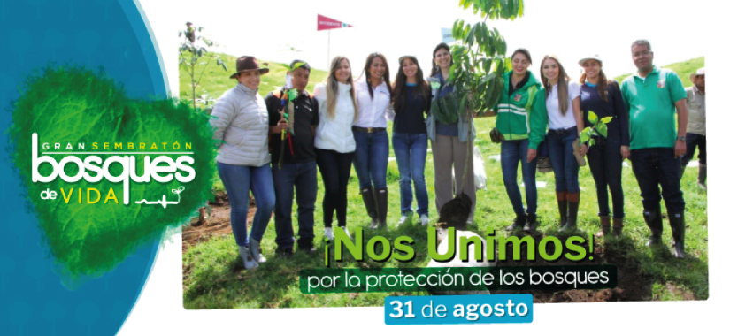 Invitación a la Gran Sembratón 2019.