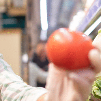 Procedimientos Sanitarios Básicos Relacionados con la Manipulación de Alimentos