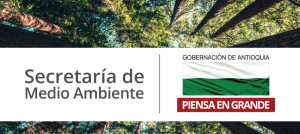 Bandera del departamento de Antioquia y bosque en el fondo.