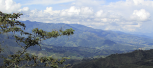 Paisaje del nordeste antioqueño