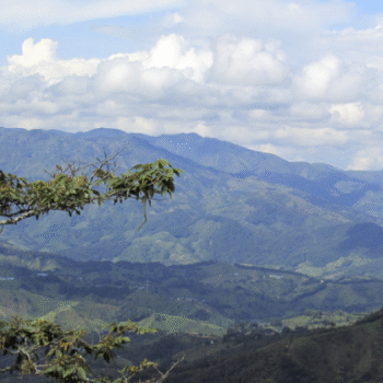 Educación Superior Rural para el Nordeste Antioqueño