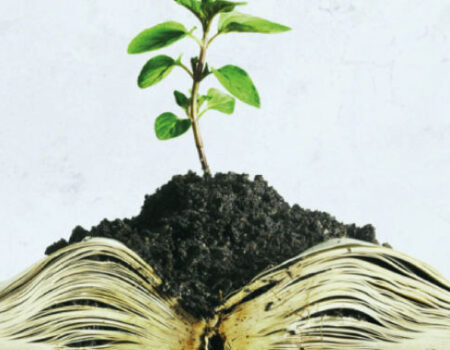 Especialización en Gestión Ambiental y Filosofía, dos nuevos Programas para la Católica del Norte