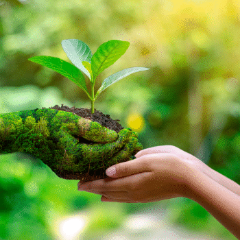III Foro sobre Ingeniería, Ciencias Ambientales e Innovación