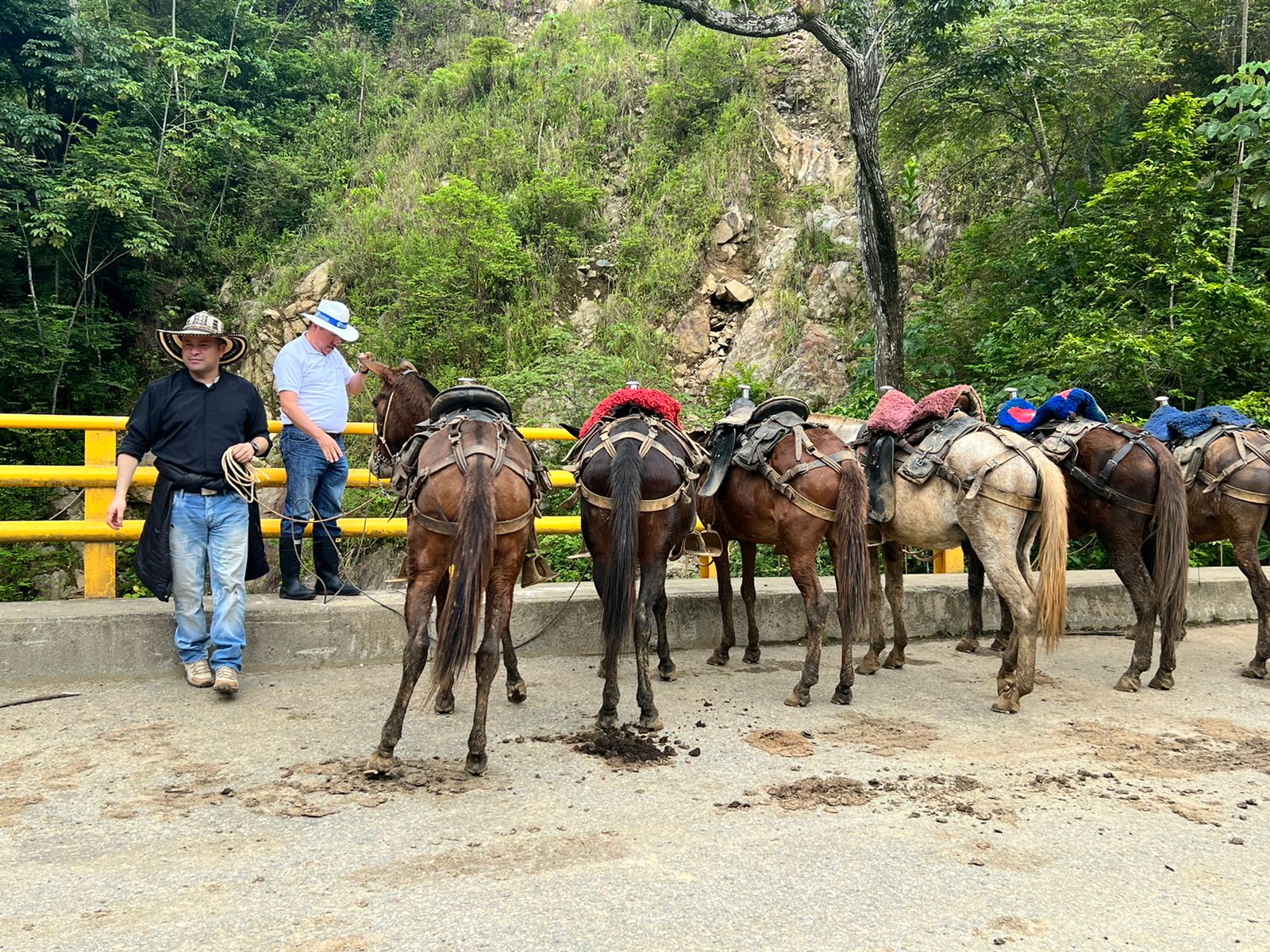 El Aro, Ituango