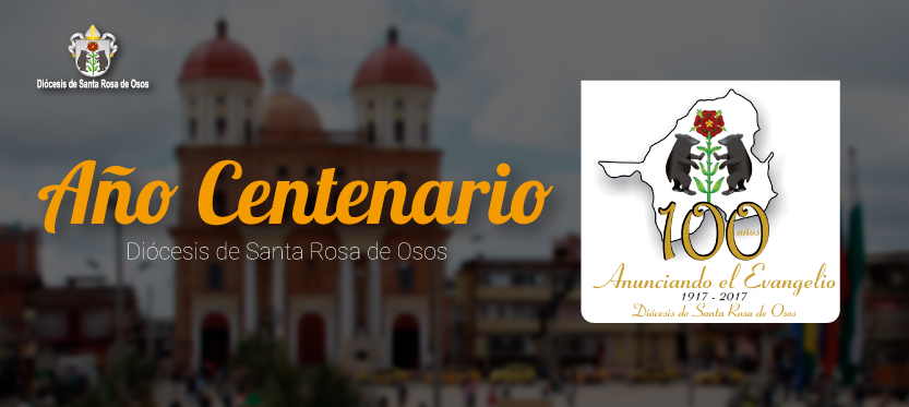 Imagen centenario DSRO