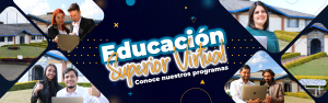 Educación Superior Virtual