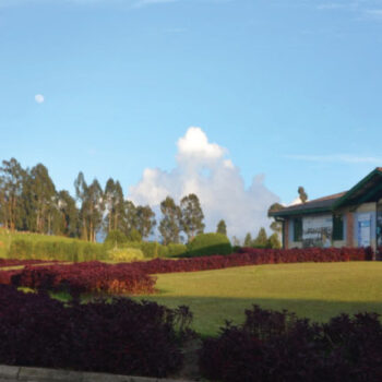 Estudia con nosotros