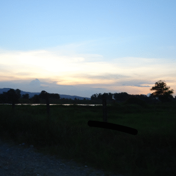 Situación del Bajo Cauca y Nordeste antioqueño. Diócesis y Católica del Norte se pronuncian