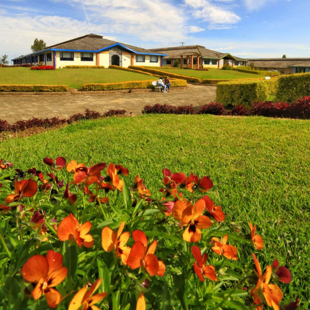 Vallenevado zonas verdes