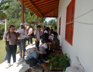 Sembratón en el municipio de Marinilla, Antioquia, con grupo de Voluntariado.
