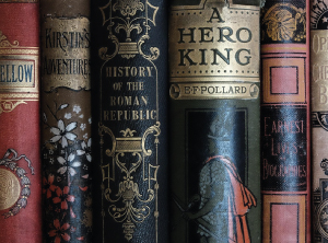 Libros organizados horizontalmente