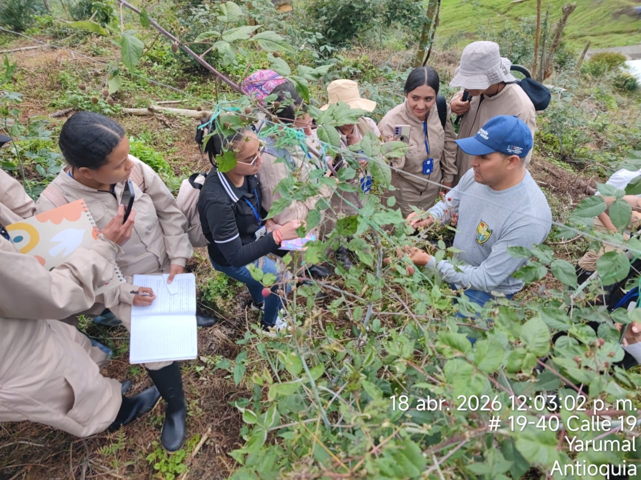 produccion agricola 2 Fundación Universitaria Católica del Norte