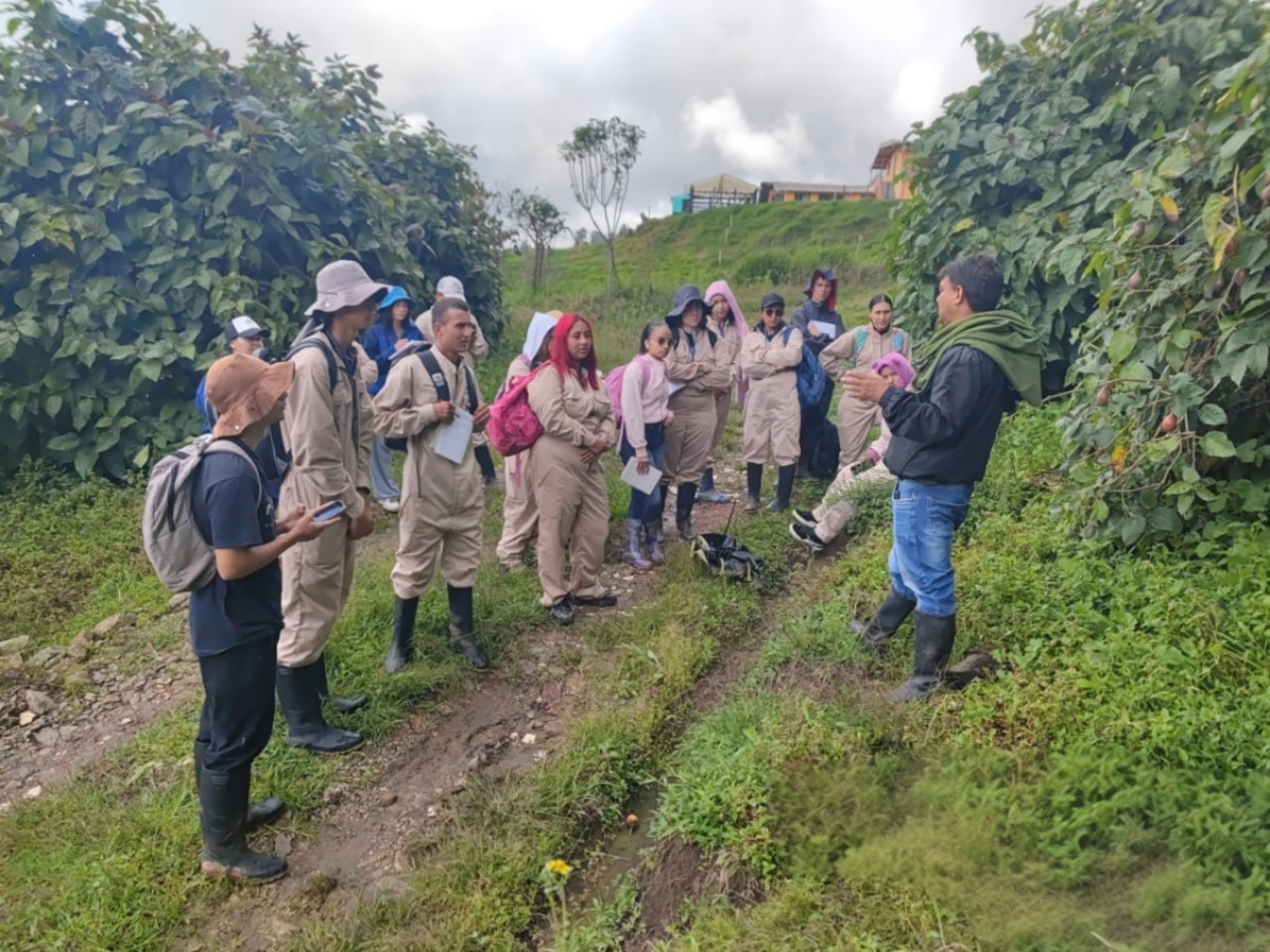 produccion agricola 3 Fundación Universitaria Católica del Norte