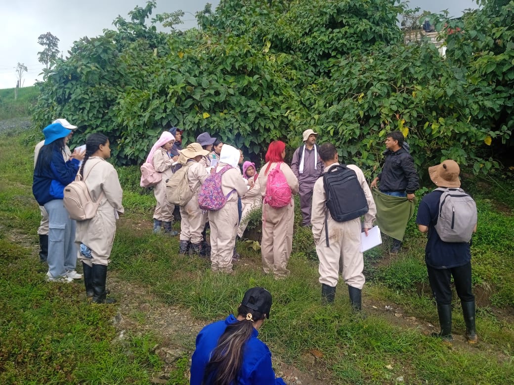 produccion agricola 4 Fundación Universitaria Católica del Norte