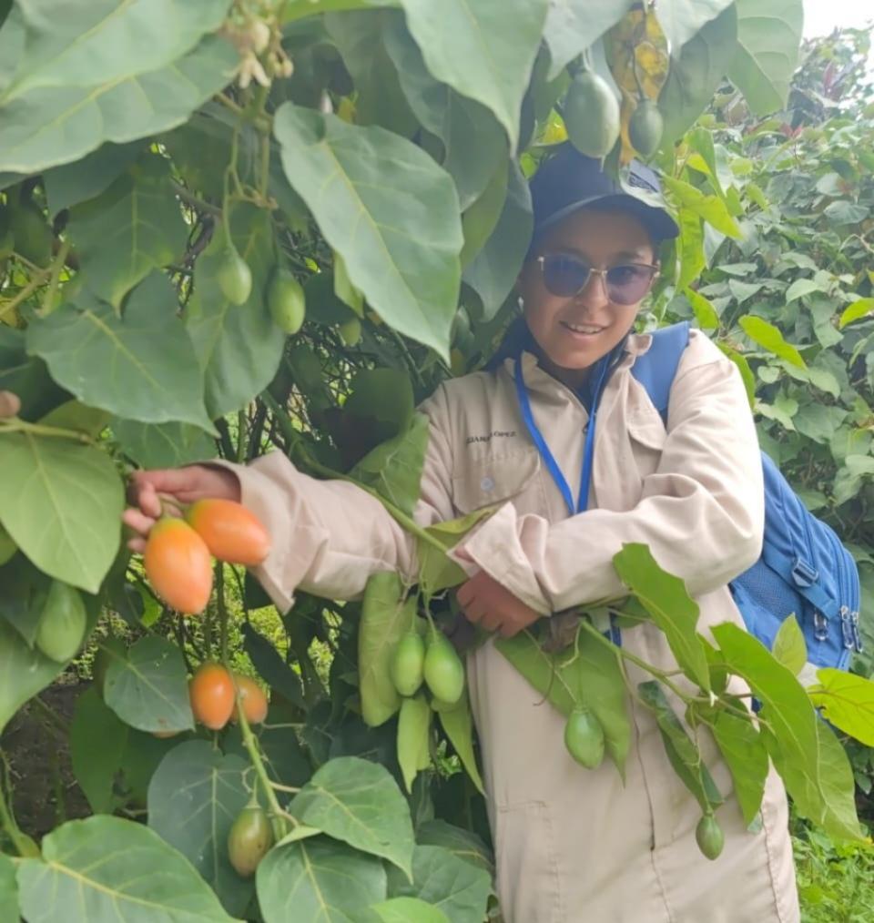 produccion agricola 5 Fundación Universitaria Católica del Norte