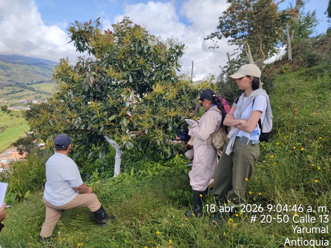 produccion agricola 6 Fundación Universitaria Católica del Norte