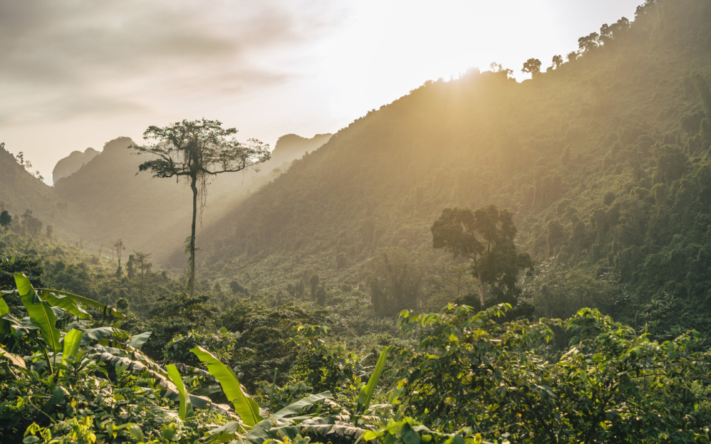 La Católica del Norte marca un hito en Ciencia Abierta con sus primeros registros en el SiB Colombia