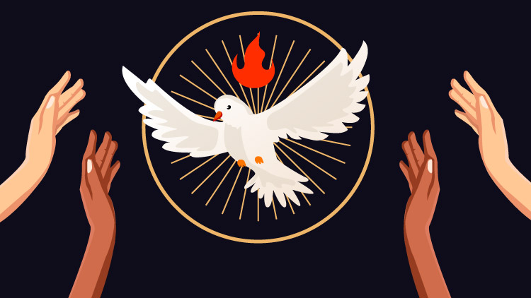 Ilustración de una paloma blanca con las alas extendidas, simbolizando al Espíritu Santo, rodeada por un halo dorado con una llama roja en la parte superior. A su alrededor, varias manos de diferentes tonos de piel se elevan en gesto de apertura y acogida.